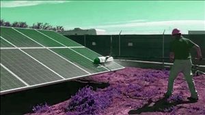 Solar Panel Cleaning Services Glendora California