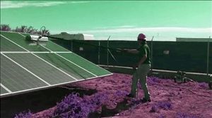 Solar Panel Cleaning Services Sierra Madre California