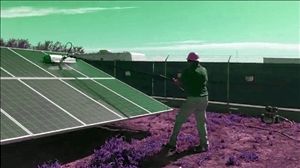 Solar Panel Cleaning Company Compton California