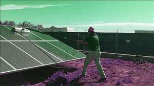 Solar Panel Cleaning Company Santa Fe Springs California
